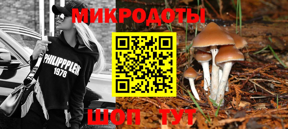 Псилоцибиновые грибы Psilocybine cubensis Бор